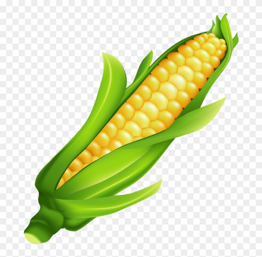 Detail Free Corn Clipart Nomer 16
