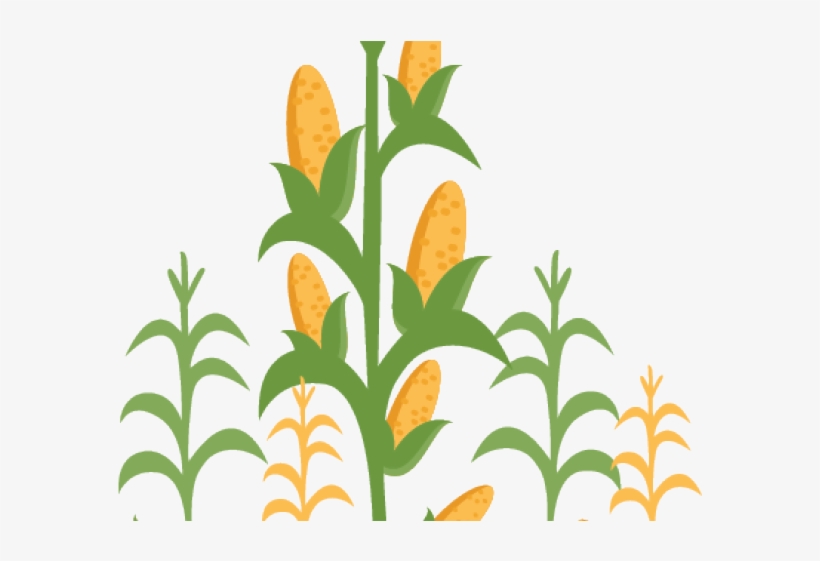 Detail Free Corn Clipart Nomer 25