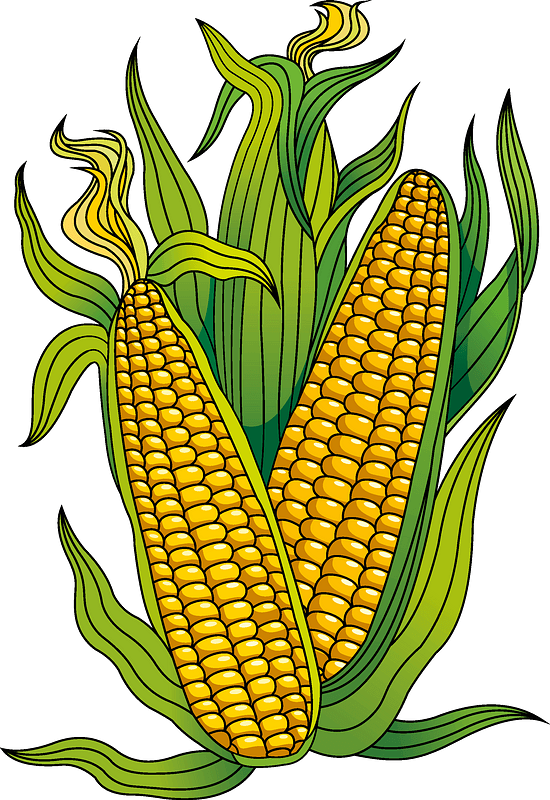 Detail Free Corn Clipart Nomer 3