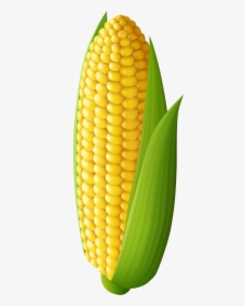 Detail Free Corn Clipart Nomer 29