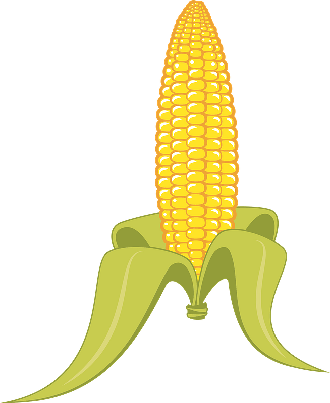 Detail Free Corn Clipart Nomer 32