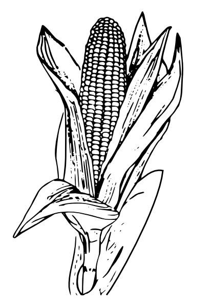 Detail Free Corn Clipart Nomer 41