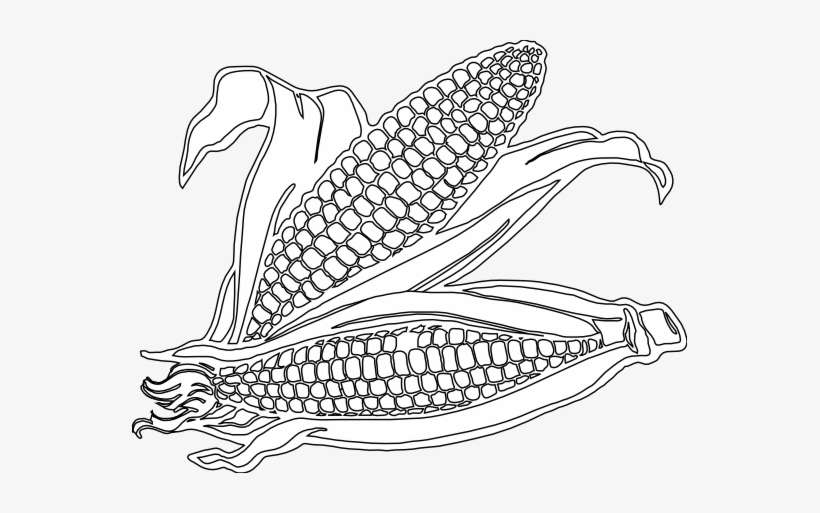 Detail Free Corn Clipart Nomer 43