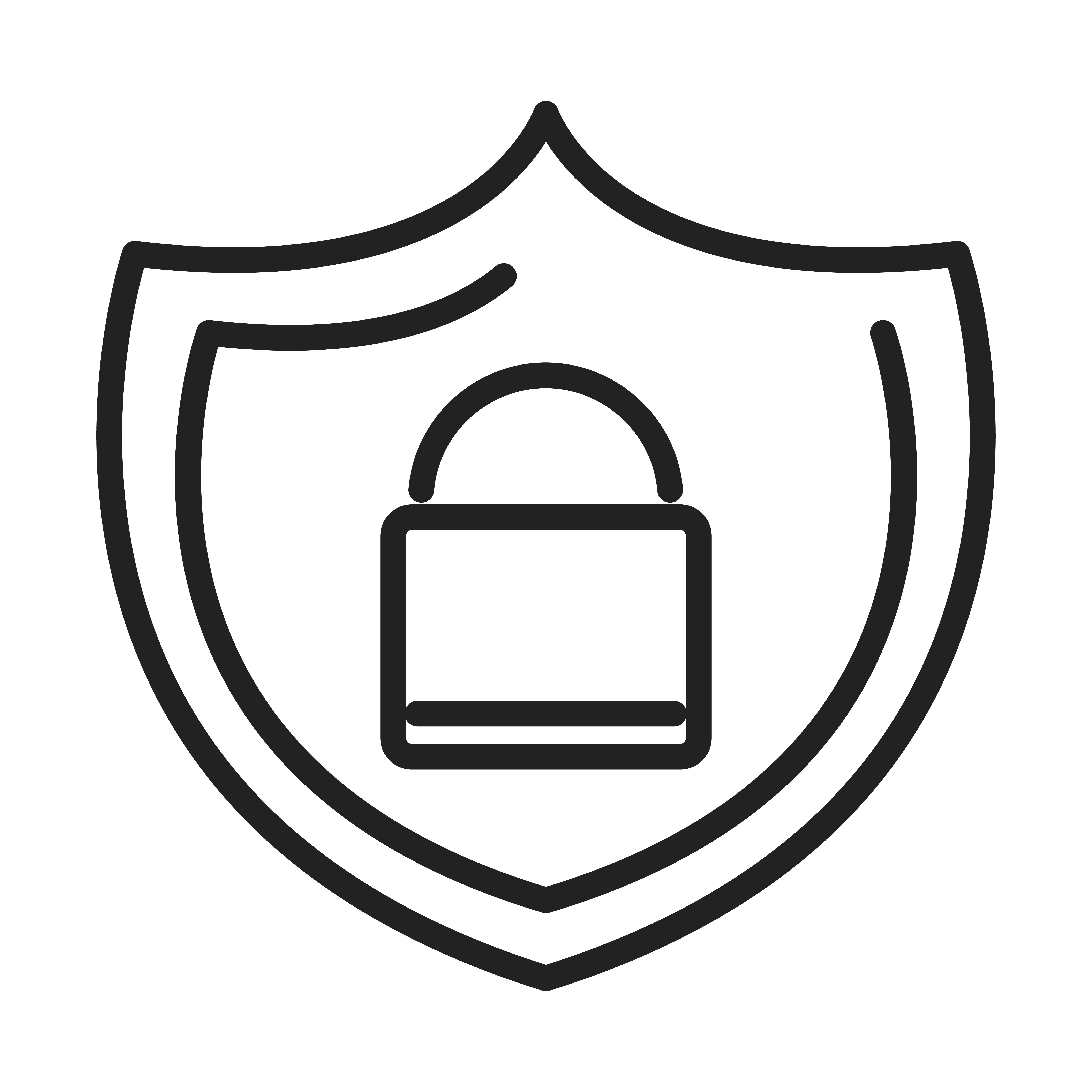 Detail Information Security Shield Nomer 2