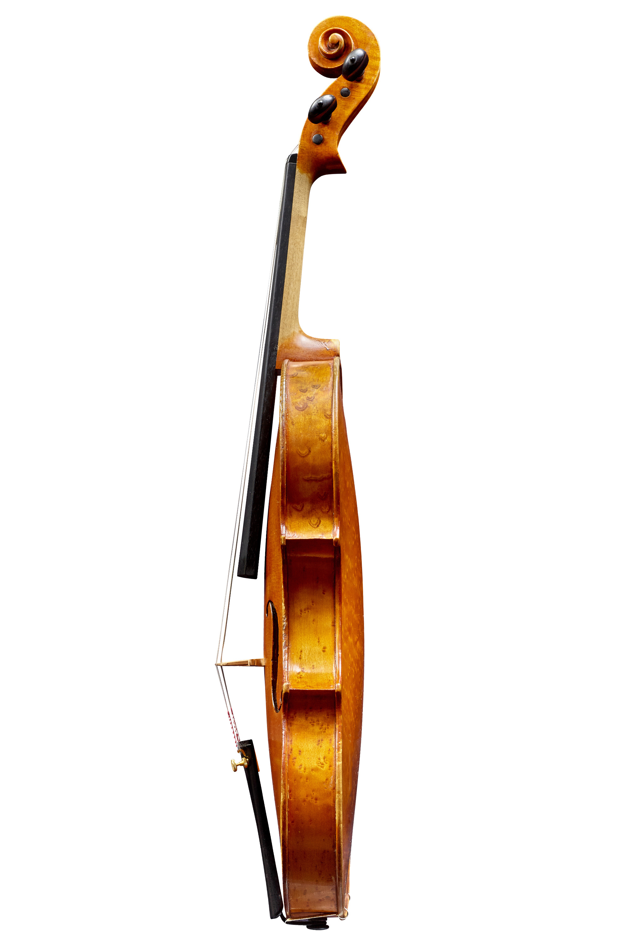 Detail Pedrazzini Violin Nomer 24