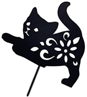 Detail Rundbogen Katze Nomer 18