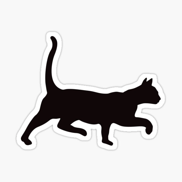 Detail Rundbogen Katze Nomer 19