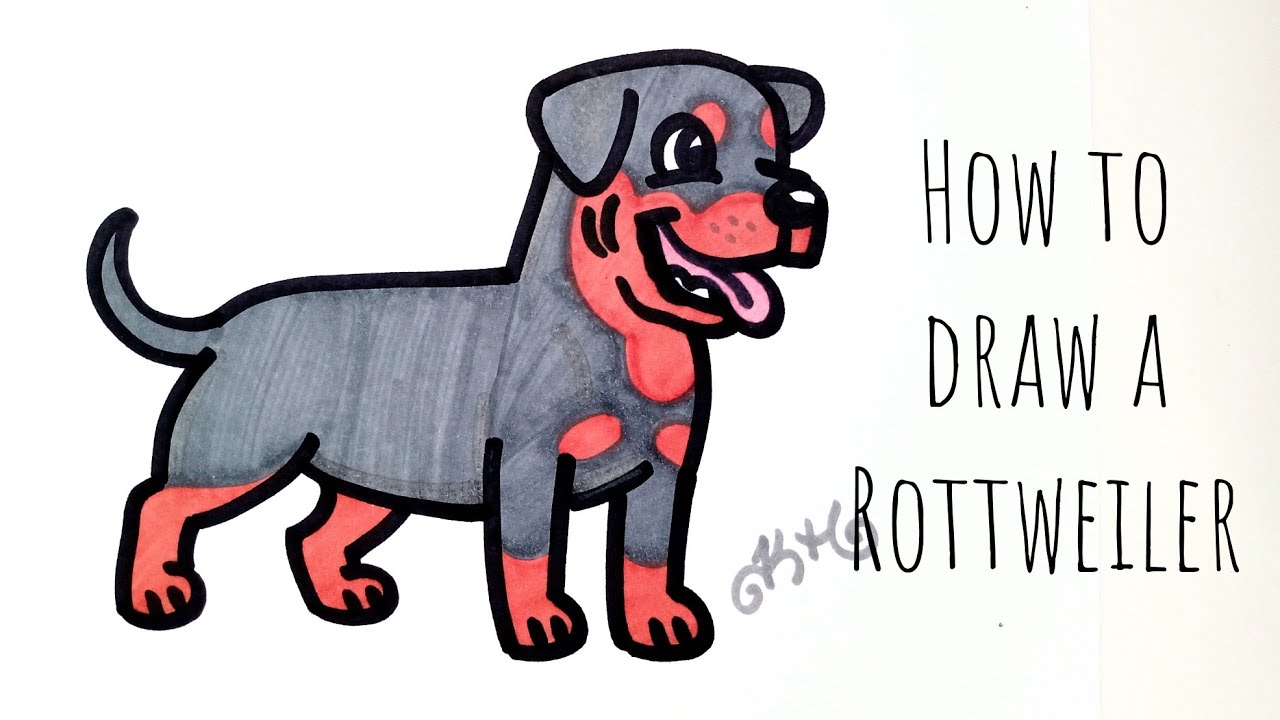 Detail Bilder Von Rottweiler Nomer 10