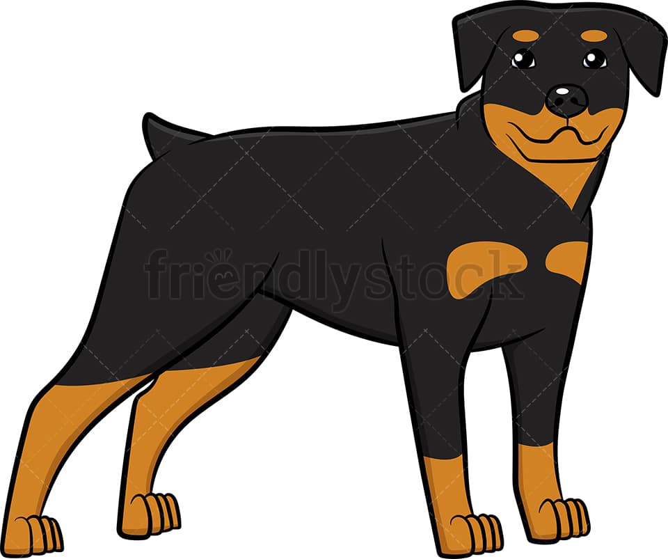 Detail Bilder Von Rottweiler Nomer 11