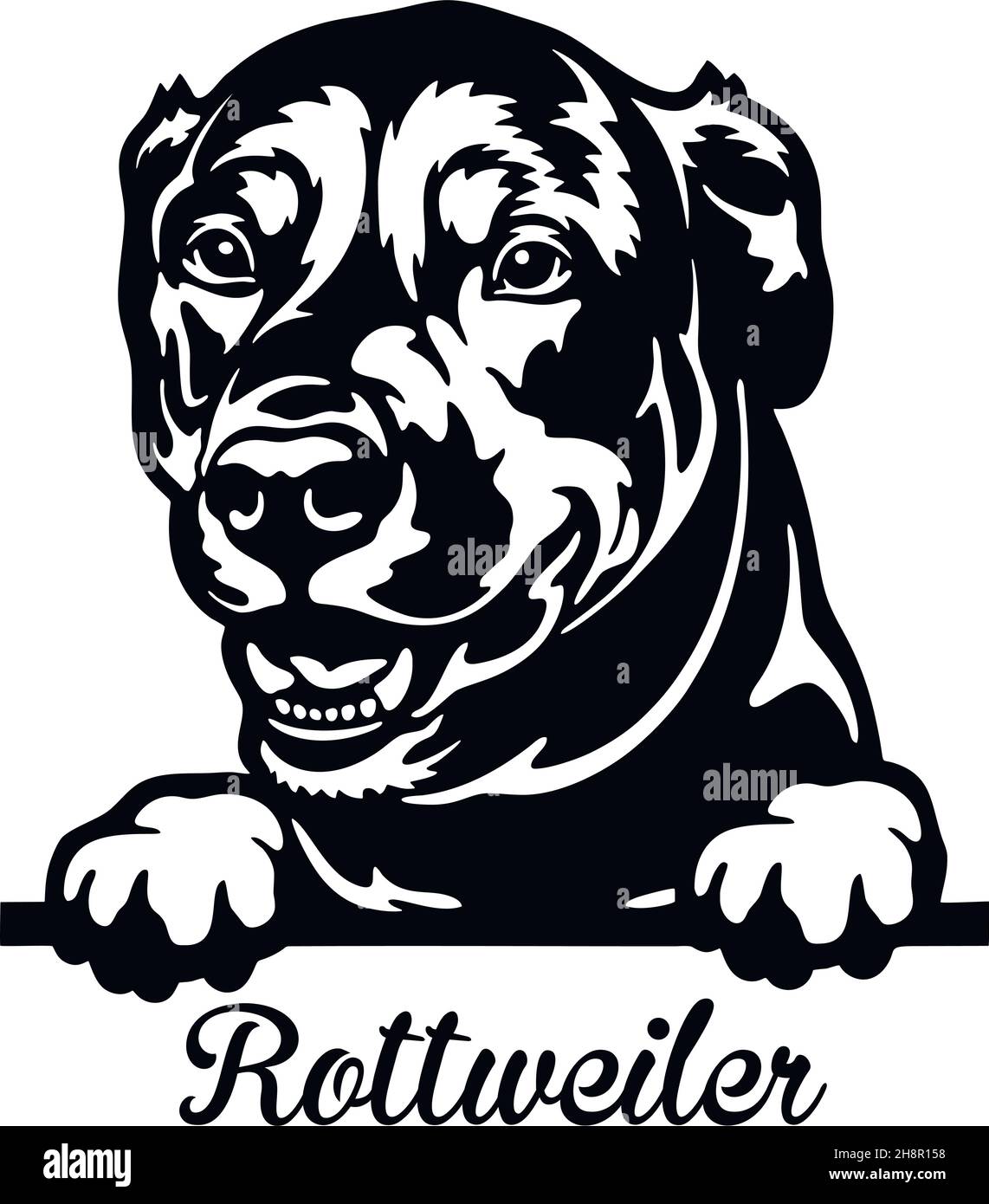 Detail Bilder Von Rottweiler Nomer 6