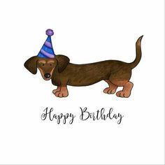 Detail Free Dachshund Birthday Images Nomer 11