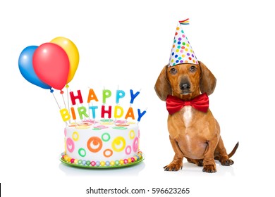 Detail Free Dachshund Birthday Images Nomer 16