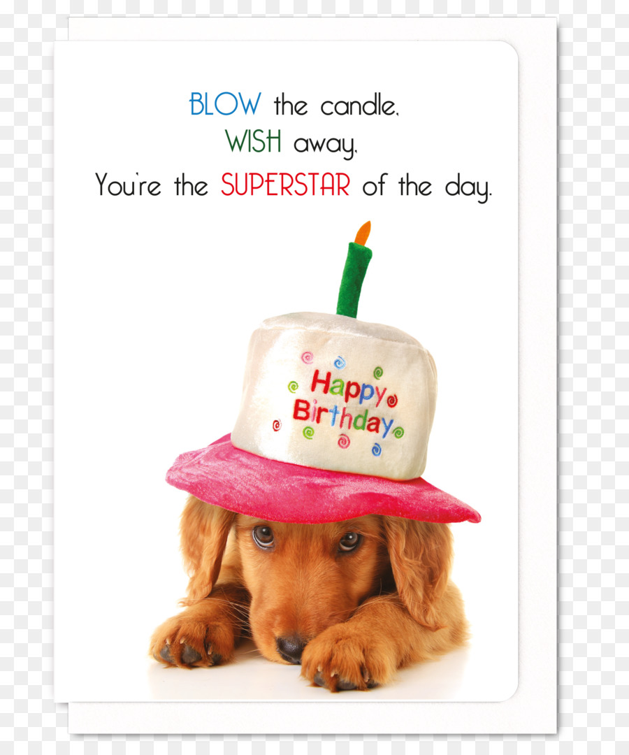 Detail Free Dachshund Birthday Images Nomer 31