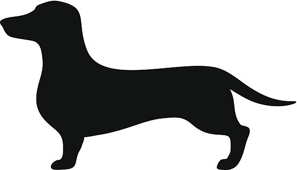 Free Dachshund Clipart - KibrisPDR