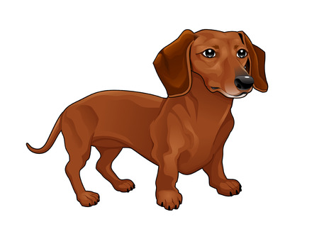 Detail Free Dachshund Clipart Nomer 10