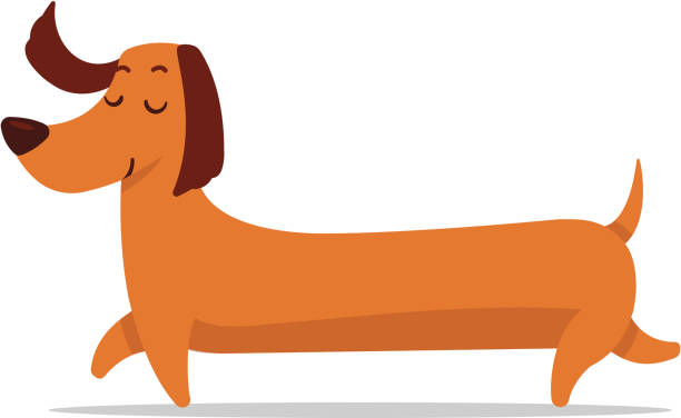 Detail Free Dachshund Clipart Nomer 3