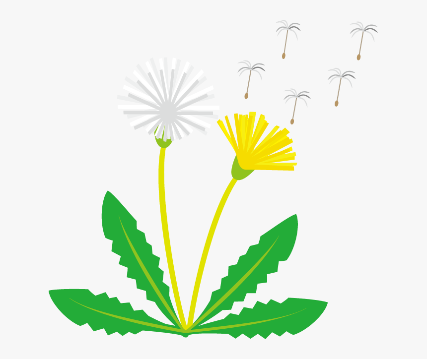Detail Free Dandelion Clip Art Nomer 14