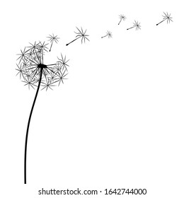 Detail Free Dandelion Clip Art Nomer 18