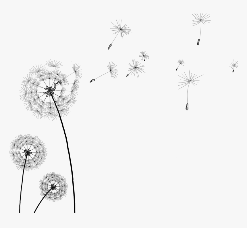 Detail Free Dandelion Clip Art Nomer 21