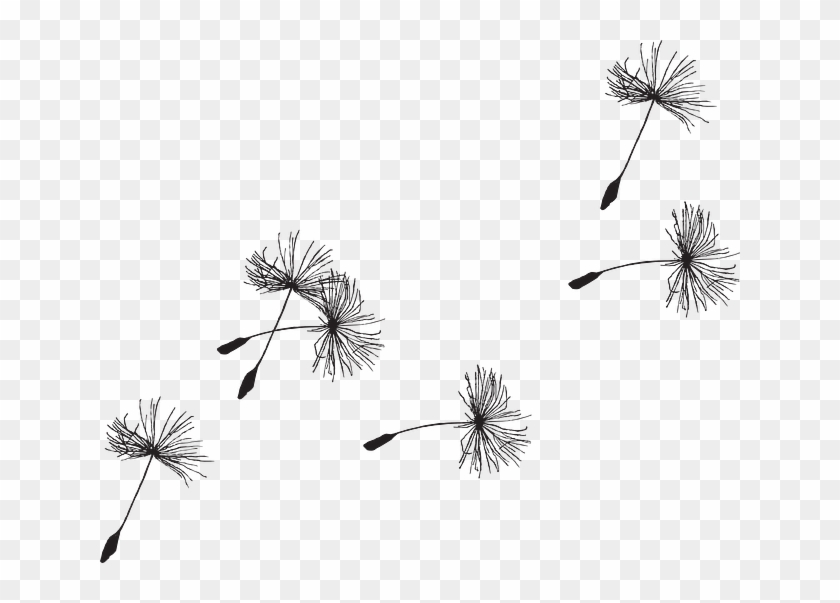 Detail Free Dandelion Clip Art Nomer 23