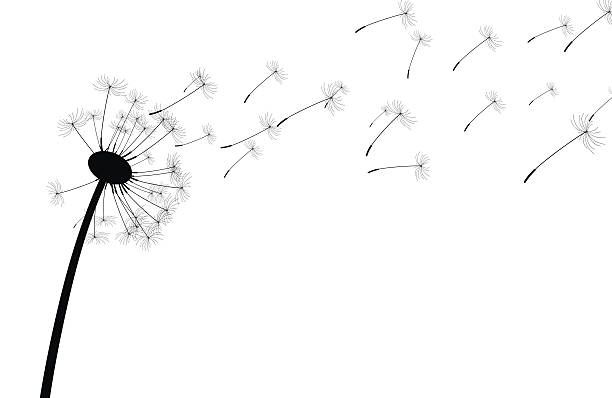 Detail Free Dandelion Clip Art Nomer 2