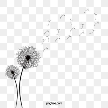 Detail Free Dandelion Clip Art Nomer 26