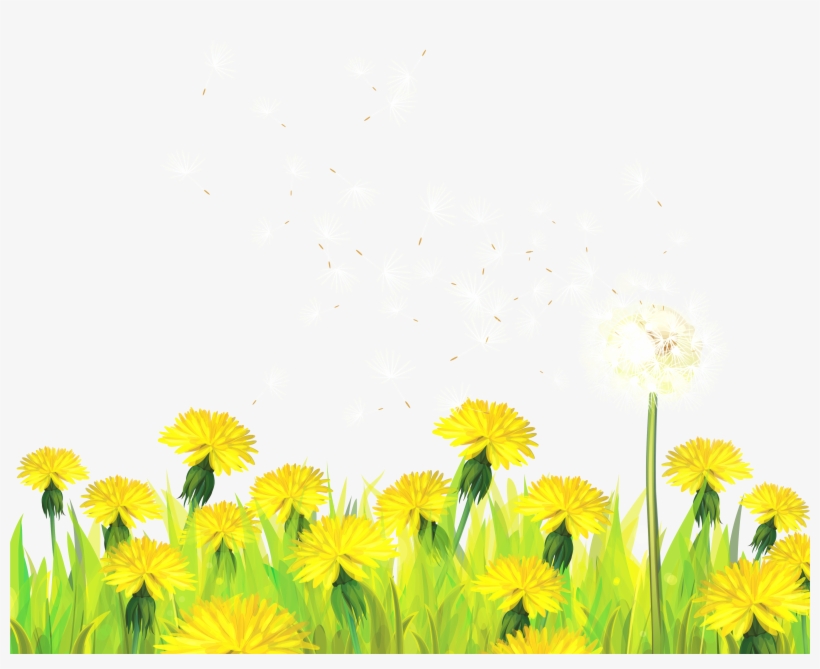 Detail Free Dandelion Clip Art Nomer 27