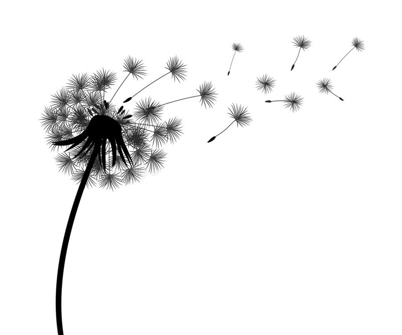 Detail Free Dandelion Clip Art Nomer 39