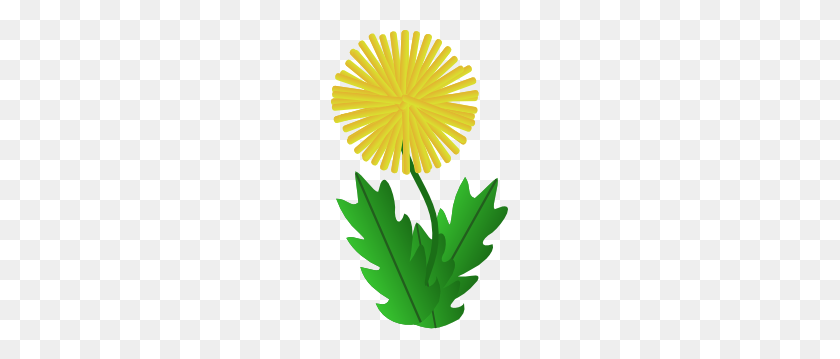 Detail Free Dandelion Clip Art Nomer 47