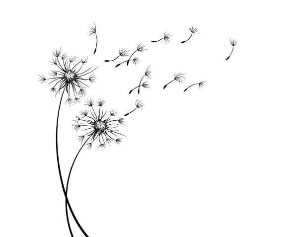 Detail Free Dandelion Clip Art Nomer 8