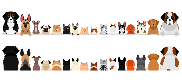 Detail Free Dog And Cat Clipart Nomer 20