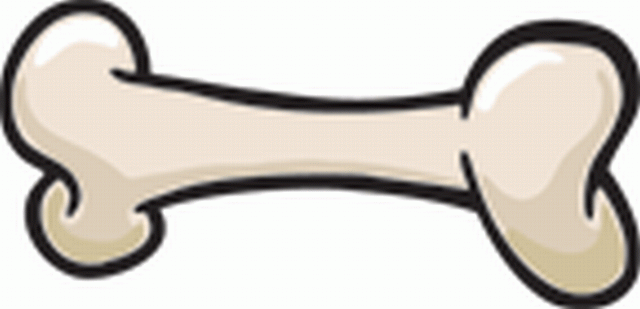 Detail Free Dog Bone Clipart Nomer 21