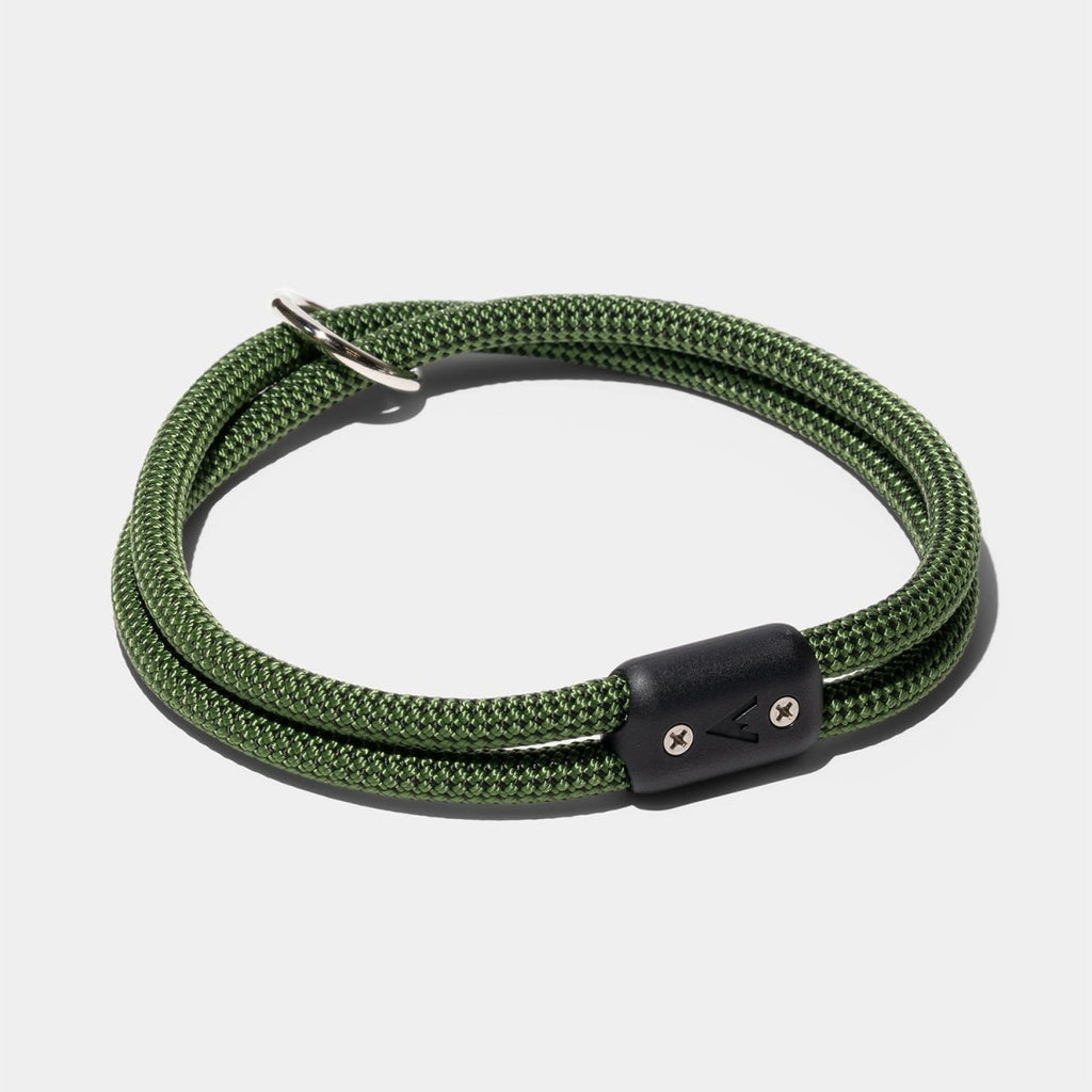 Detail Free Dog Collar Nomer 25