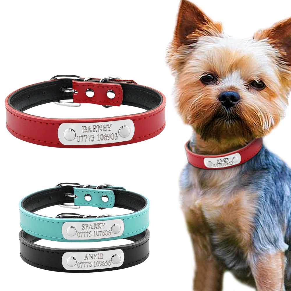 Detail Free Dog Collar Nomer 29