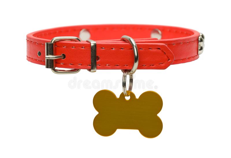 Detail Free Dog Collar Nomer 47