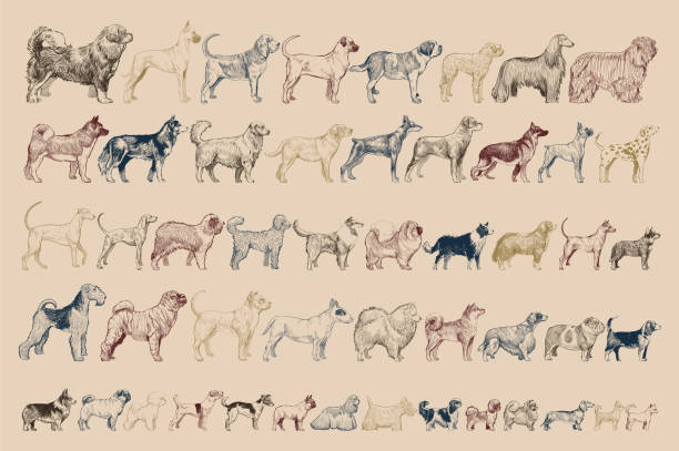 Detail Free Dog Illustrations Nomer 29