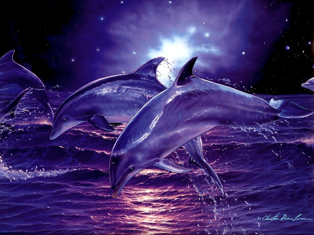 Detail Free Dolphin Images Nomer 37