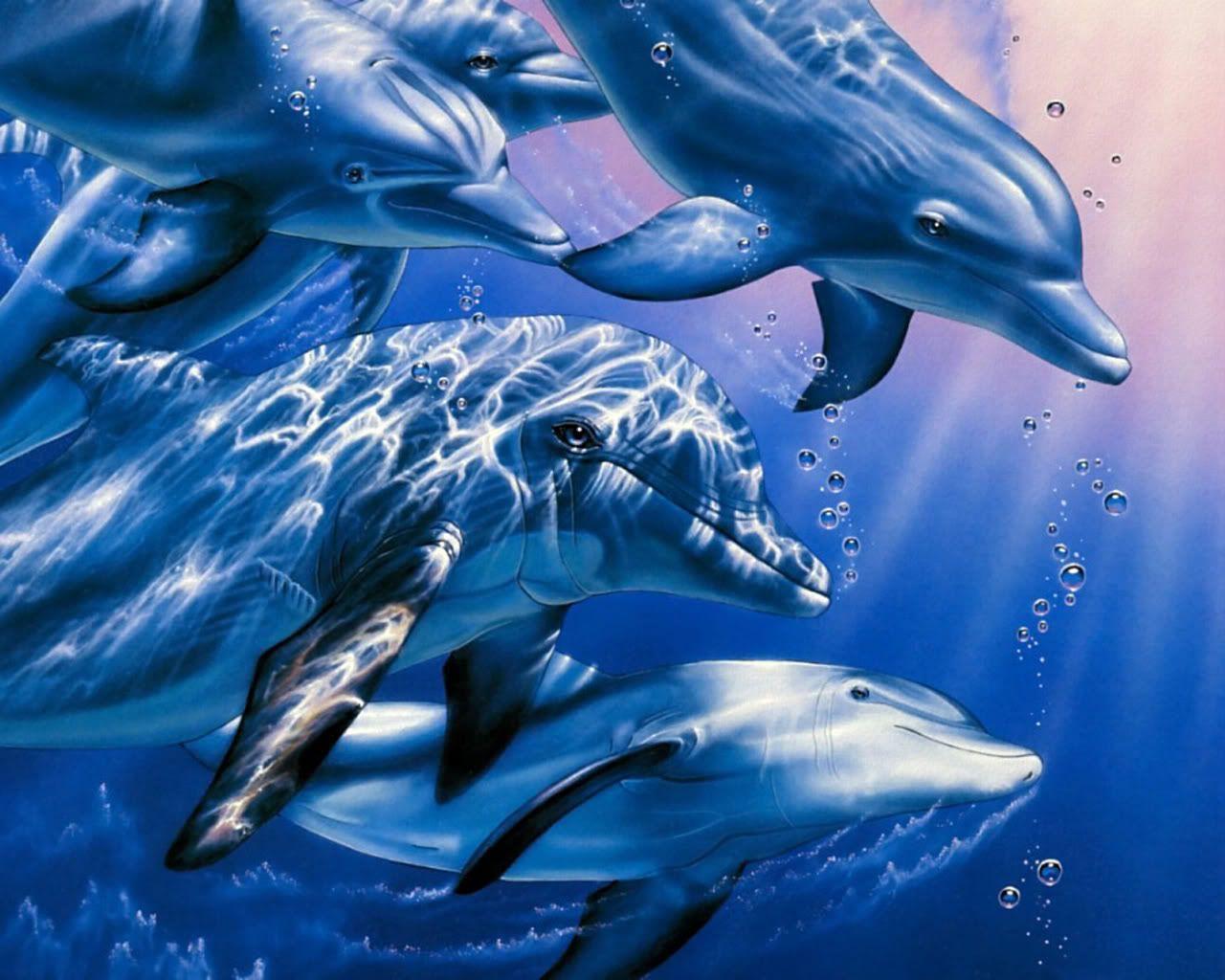 Detail Free Dolphin Picture Nomer 49