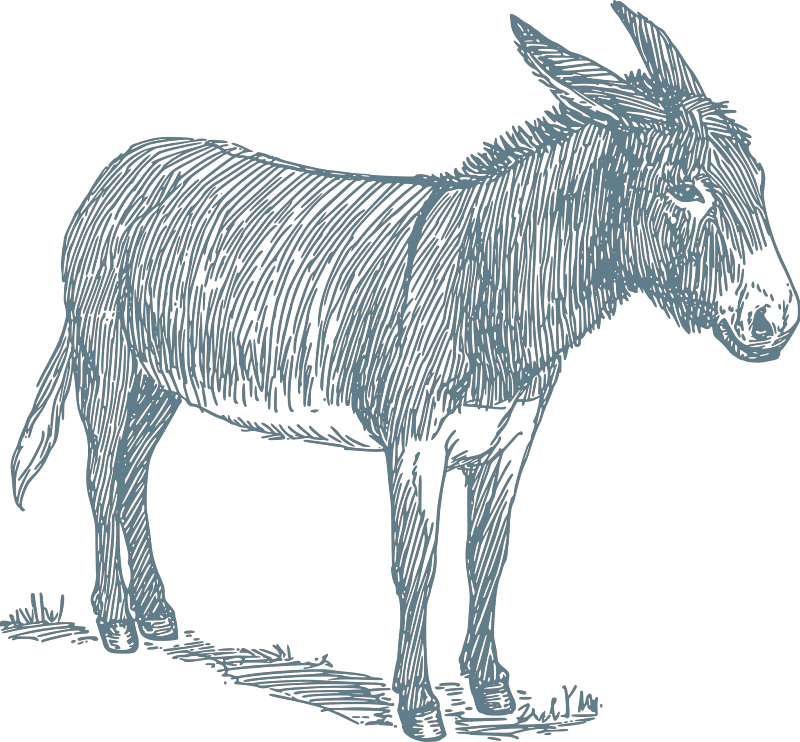 Detail Free Donkey Clipart Nomer 17