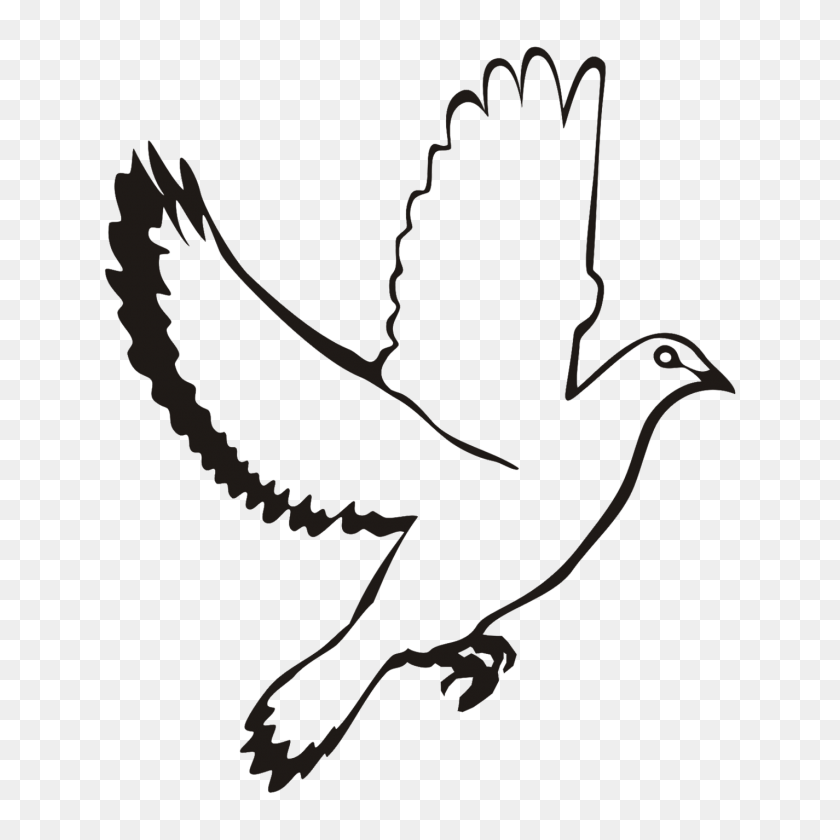 Detail Free Dove Clipart Black And White Nomer 20