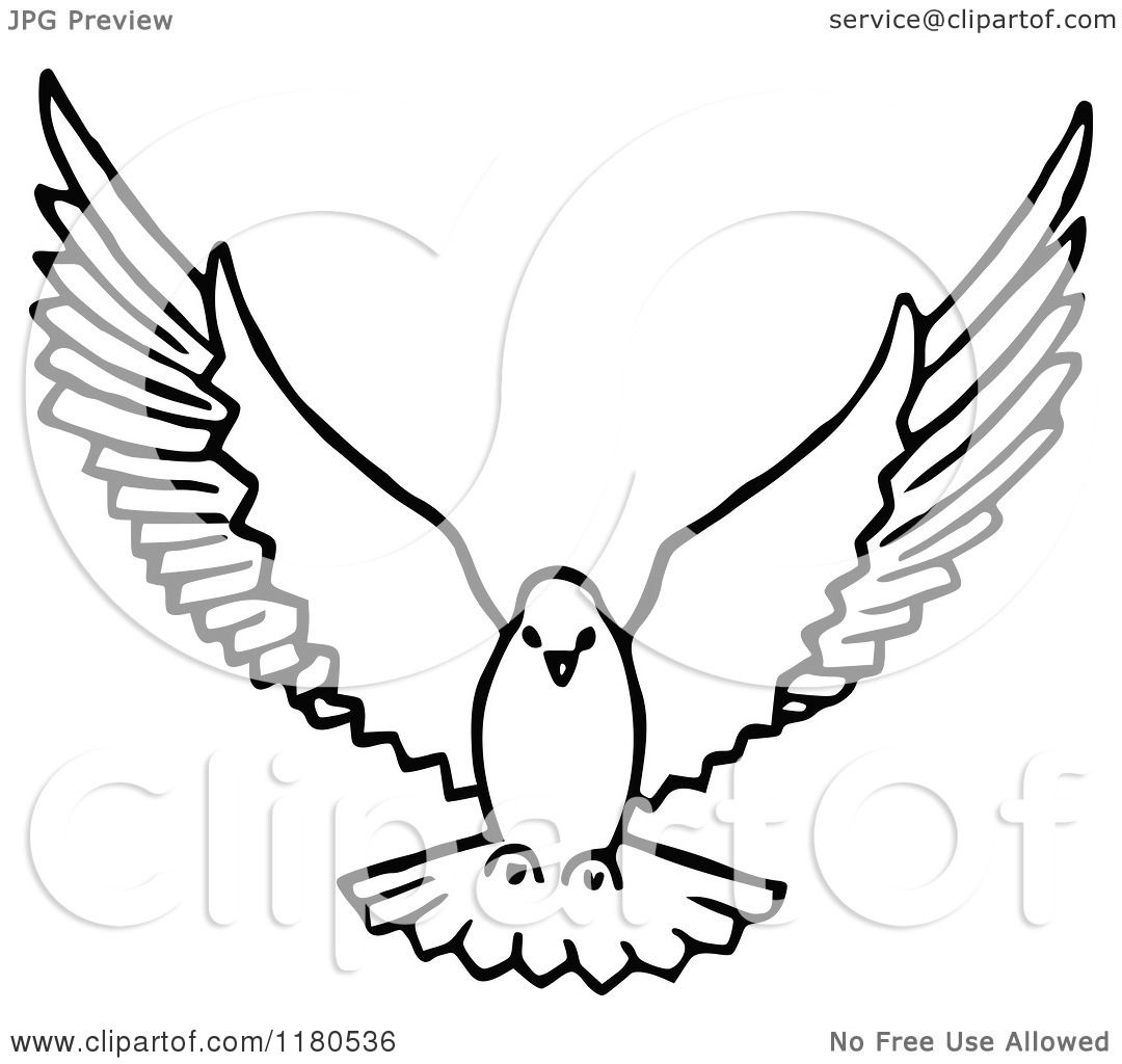 Detail Free Dove Clipart Black And White Nomer 21