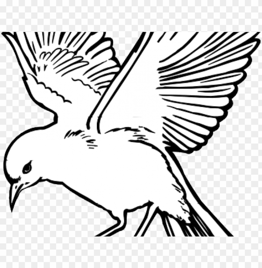 Detail Free Dove Clipart Black And White Nomer 42