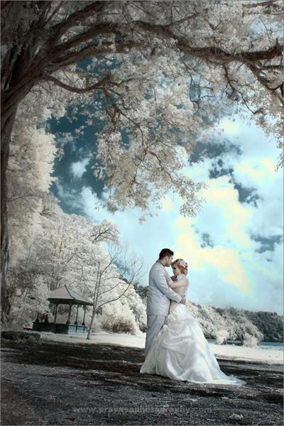Detail Free Download Background Foto Pre Wedding Nomer 19