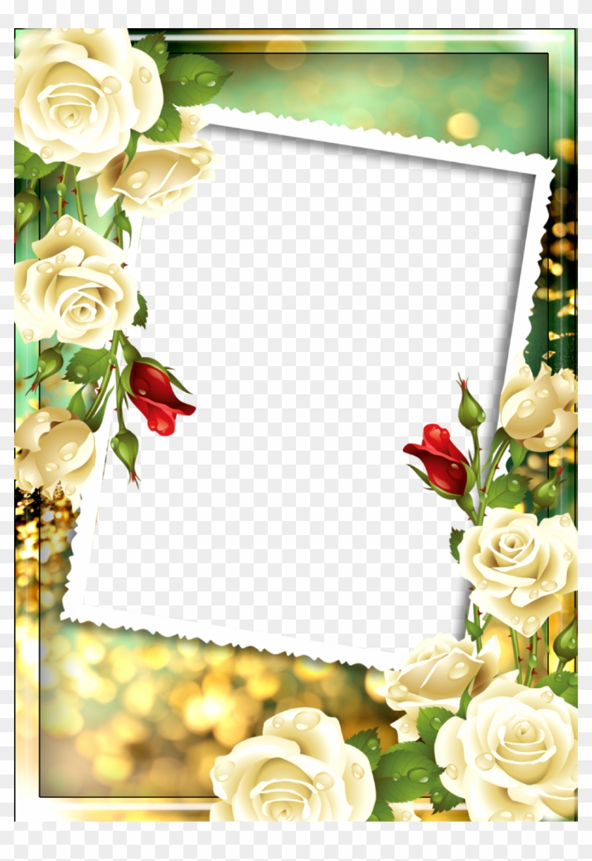 Detail Free Download Frame Nomer 17