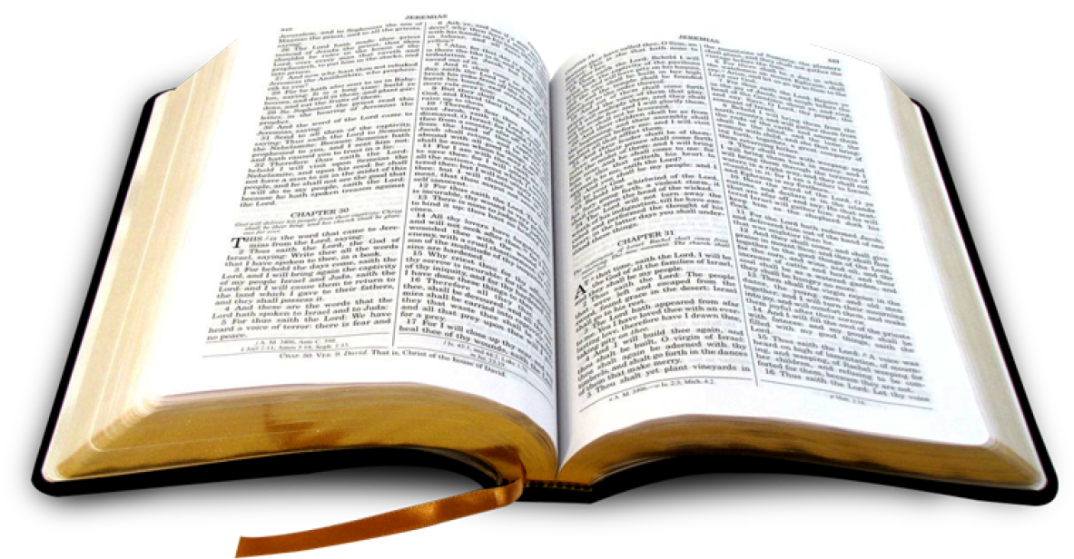 Detail Free Download Holy Bible Nomer 45