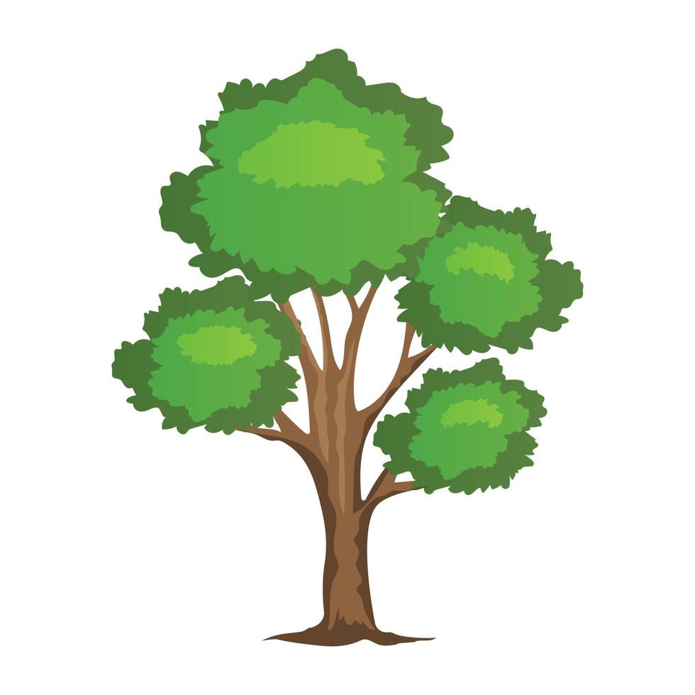 Kastanienbaum Zeichnung - KibrisPDR