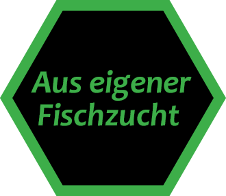 Detail Kastanienbaum Zeichnung Nomer 17