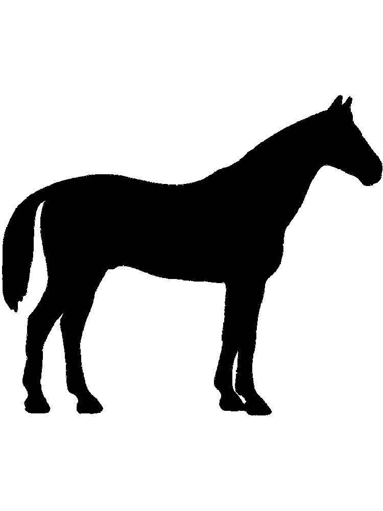 Detail Pferd Umriss Vorlage Pferd Koleksi Nomer 16