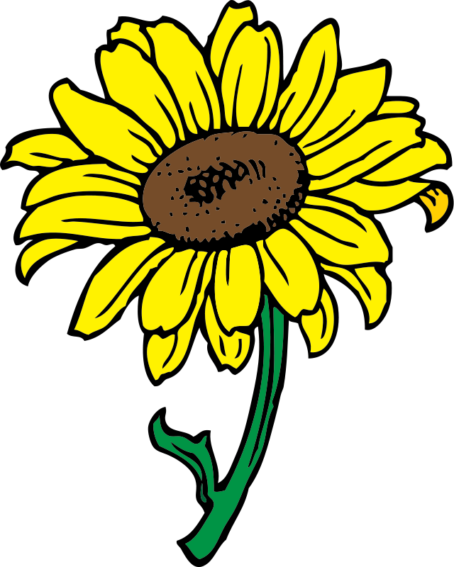 Detail Sunflower Clipart Nomer 8