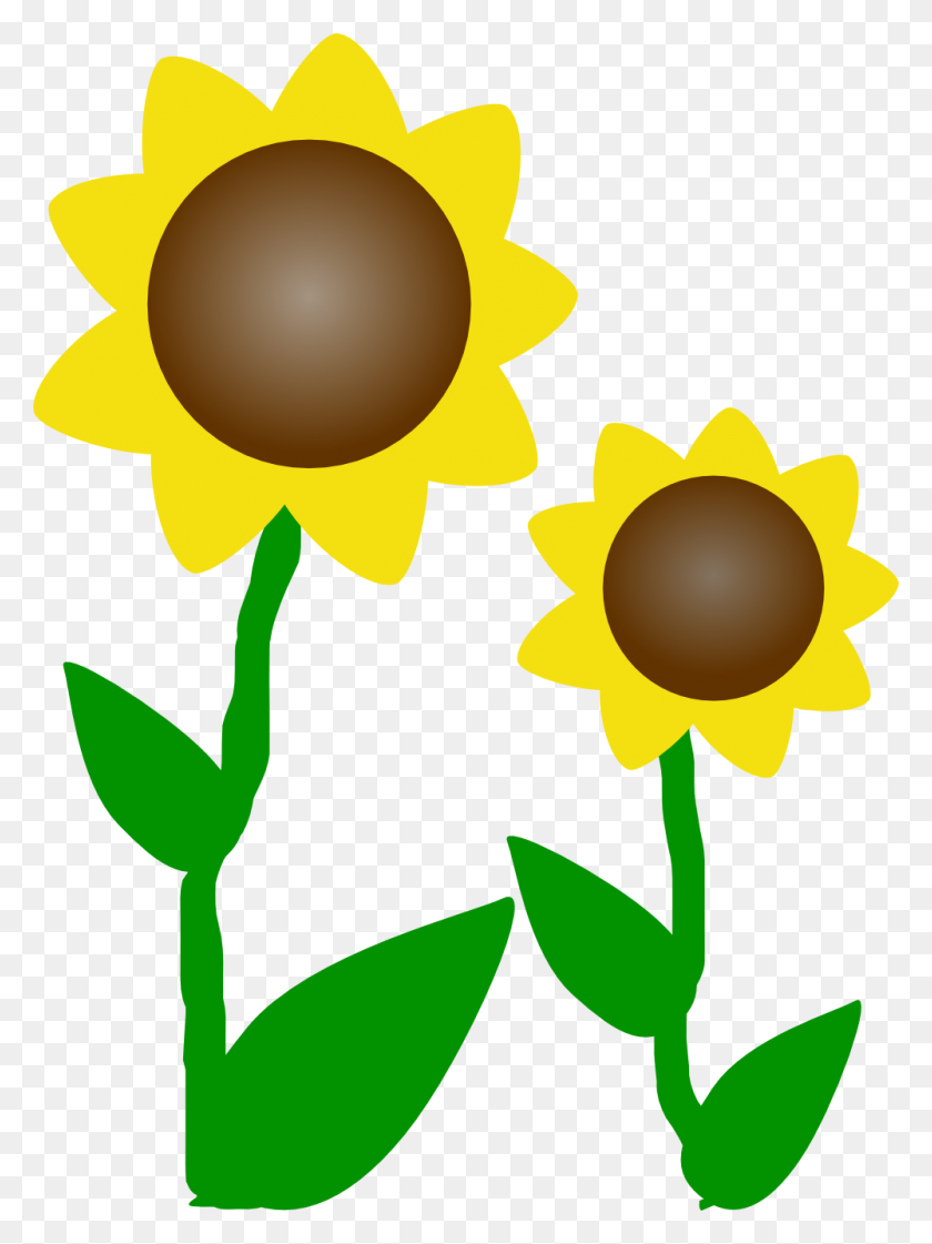 Detail Sunflower Clipart Nomer 16